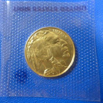 USA 1 Oz 2006 Buffalo / Büffel in Gold lose