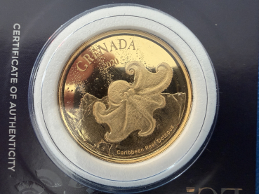 Preview: Eastern Caribbean Central Bank 1 Oz 2020 EC8 Grenada - Octopus in Blister