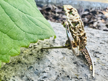 Preview: Elegante Vintage Designer-Brosche aus 585er Weiß- und Goldgelb (14 Karat) signiert A*D / Andreas Daub, geschwungen (8)