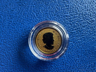 Kanada 2021 Klondike Gold Rush 4 Münzen Set 43,535g Feingold in Reverse Proof Auflage: 500 Stk. weltweit