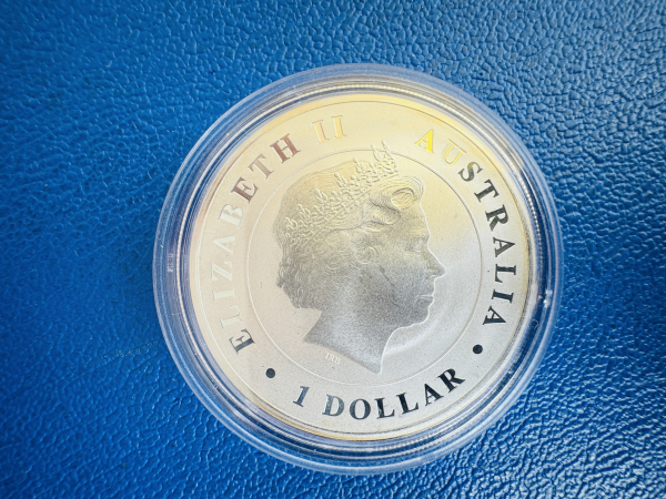 Perth Mint Australien 1 Dollar 2014 Salzwasserkrokodil - Gilded - 1 Oz Feinsilber