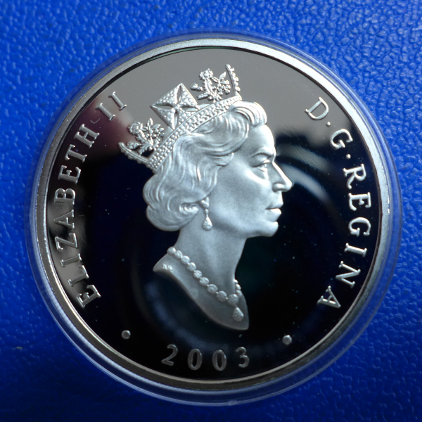 Kanada 20 Dollar 2003 Niagara-Fälle 1 Oz Ag