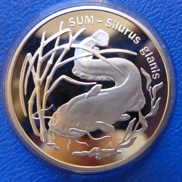 Polen 20 Zloty 1995 Sum Wels Silber in PP, selten